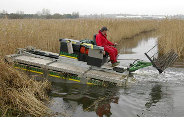 Reed cutting boat